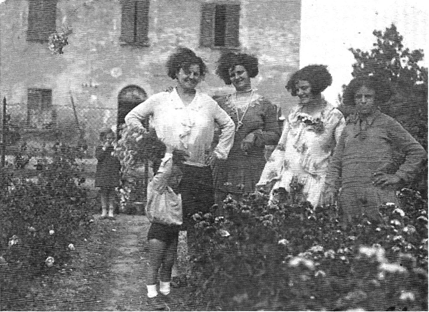 boschi-gruppo-palazzo.jpg (1026766 byte)